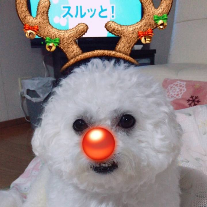 4c97e1c6 d359 487e 9538 45f70d0cc7a5