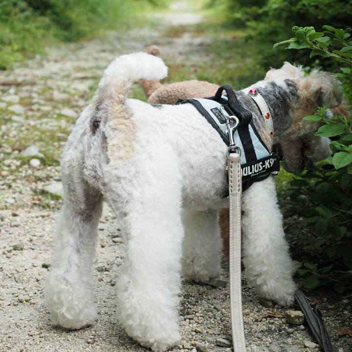 4c980d1e 4458 4163 841c 79a626b30d0f