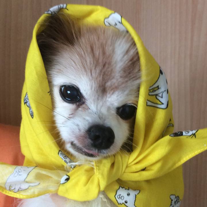 4c985ff7 6438 4a2f ad80 8ff4d928cfc7