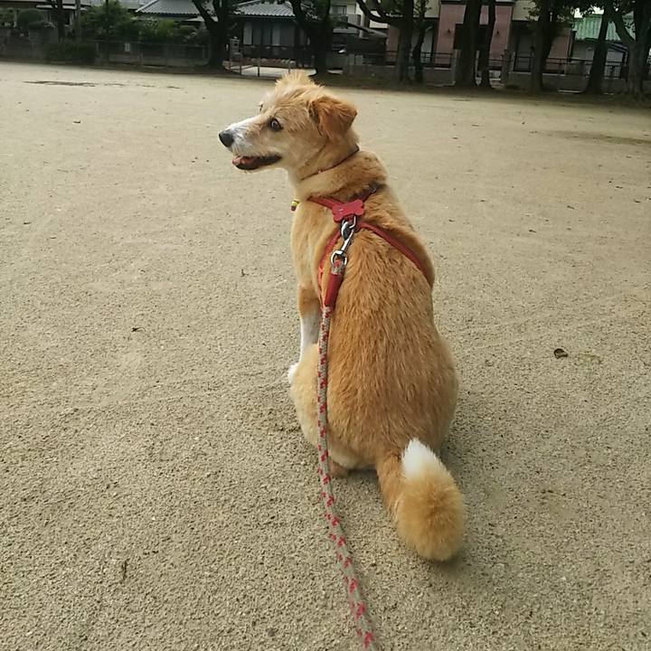 4c987a5d 9844 4b61 84dd e64914db6982