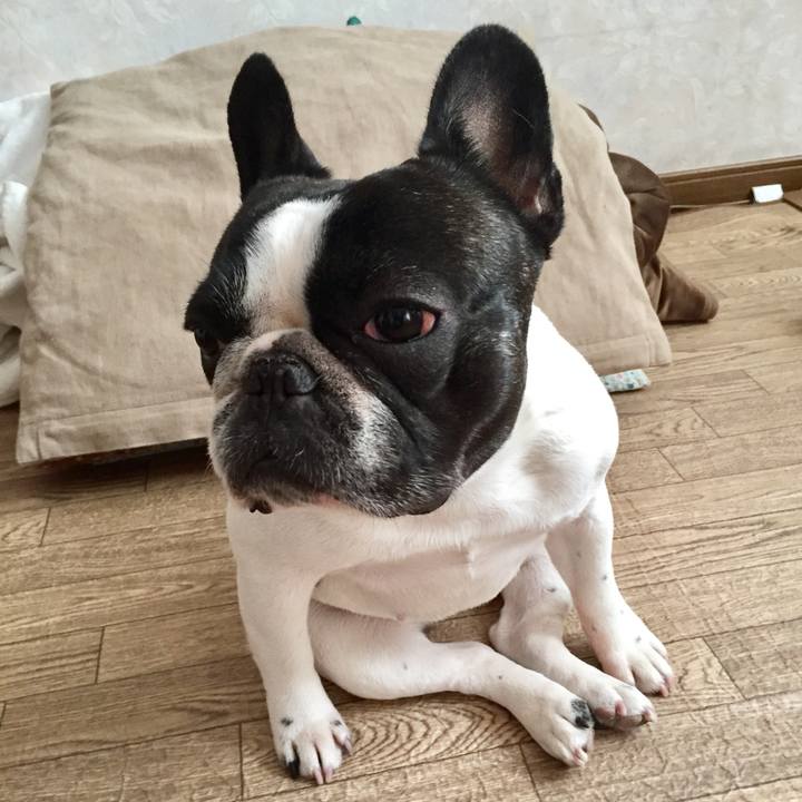 4c995a7d 64d0 4044 aef8 3e426c1fea49