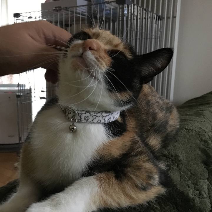 4c9a8c90 7592 4e8d a127 68deffe7a484