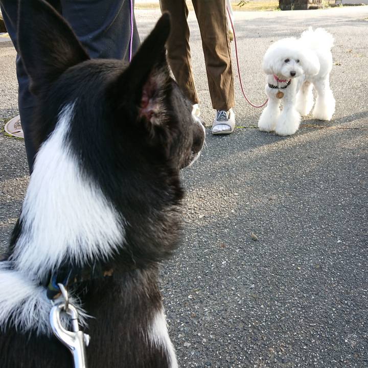 4c9b050e c03d 48ff 8994 c2ea24eb714f