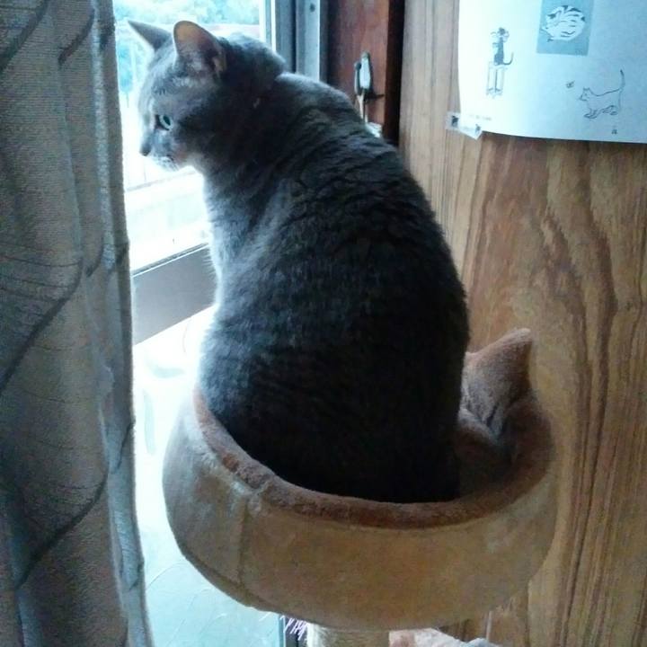 4c9b7caa 33cf 433e a68a e1a3a0ae4d0c