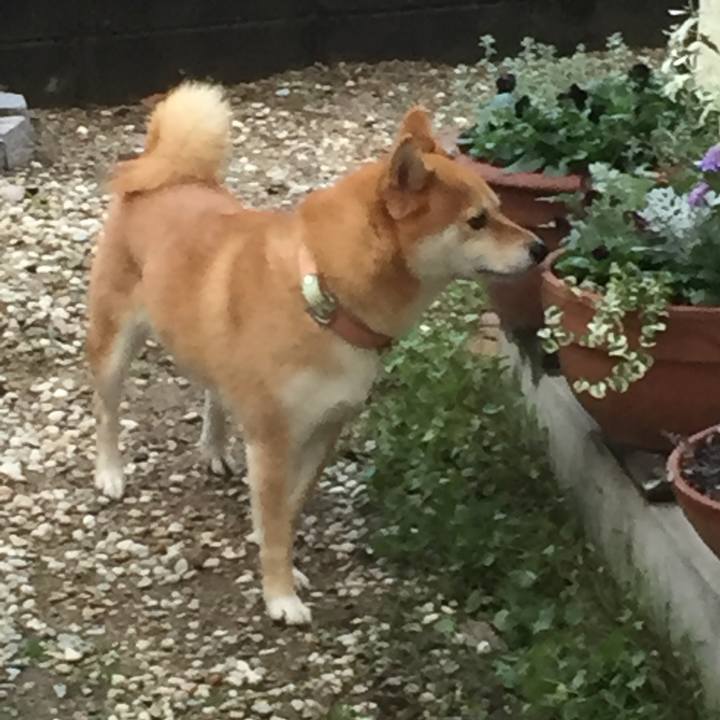 4c9b9c78 d756 4862 82b2 7a6c92f4f807