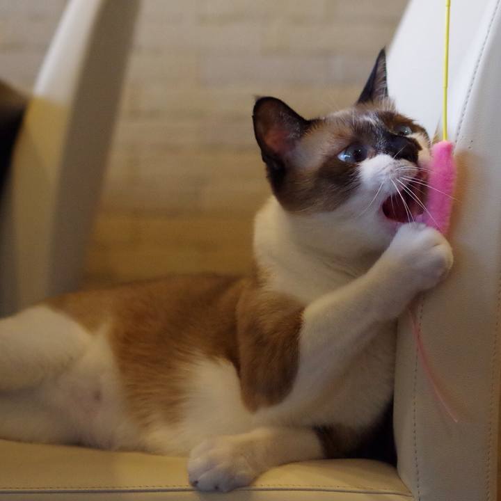 4c9c1fb0 39da 4f5b 985b 8bebf3505fc5