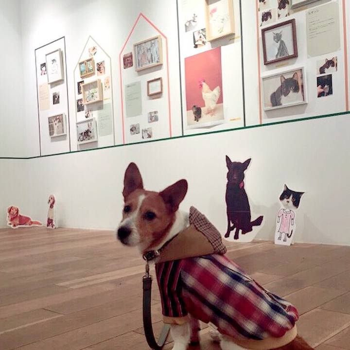 4c9c8a6a ac26 483c 9ddc 7fd9c90f3a1b