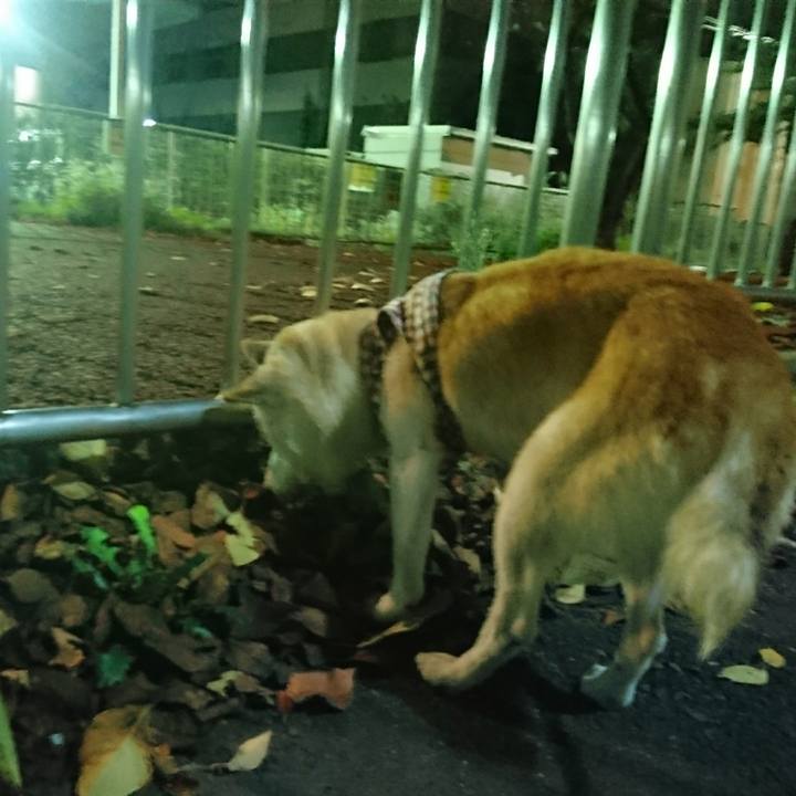 4c9cd583 30c1 4942 a954 ac52d14061cc