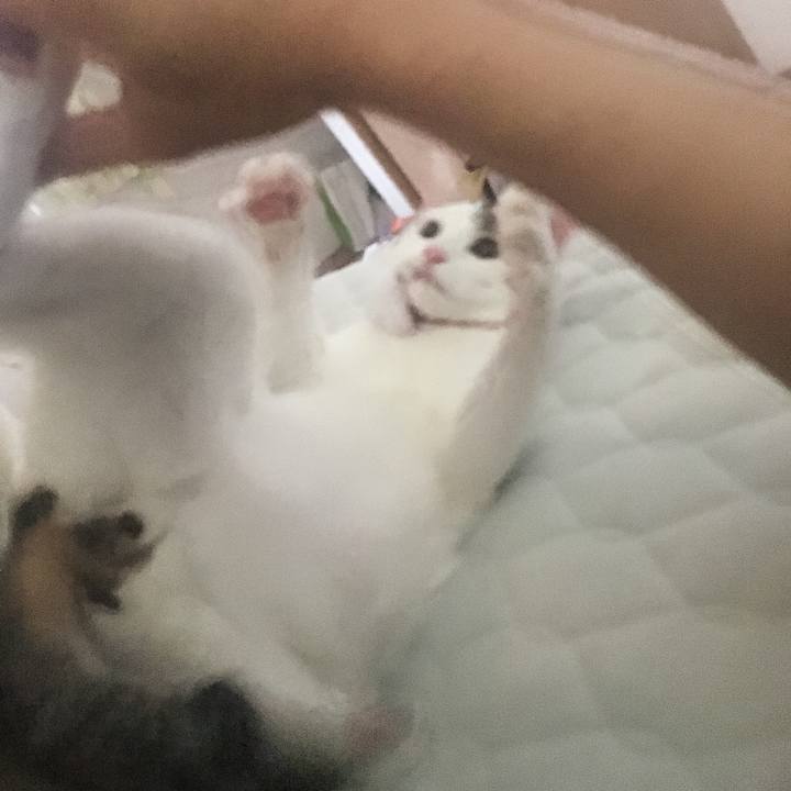 4c9cdac9 b800 4e62 93d1 c725b3159dbf