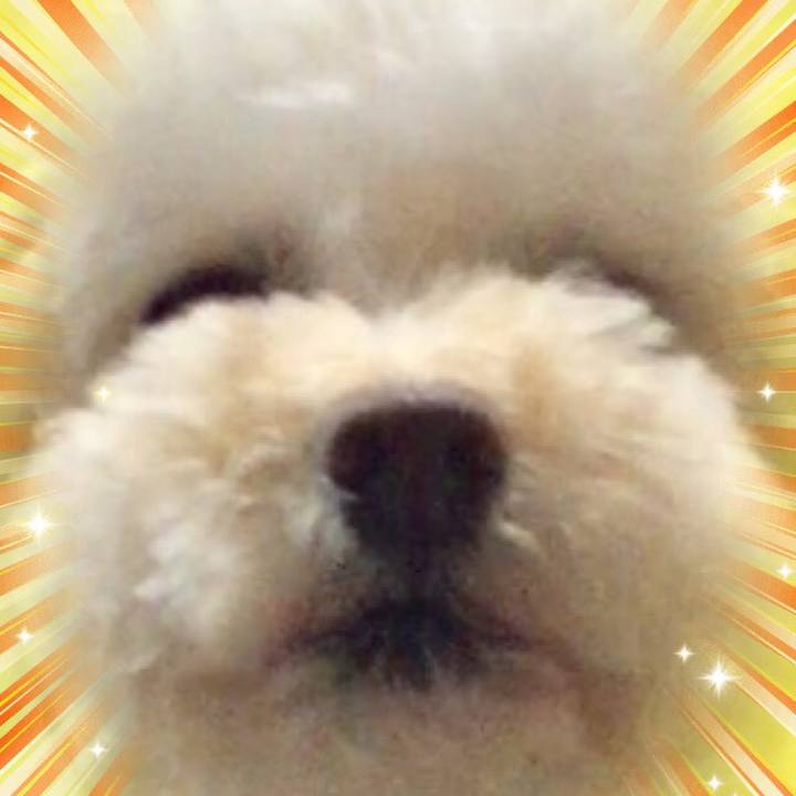 4c9d5567 ed9e 4282 a428 2c87e2195f93