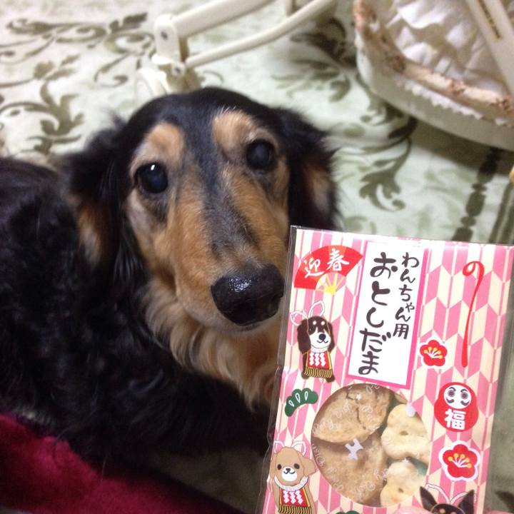 4c9e517c bb83 43fd 9b0b 455f62fa9cfa