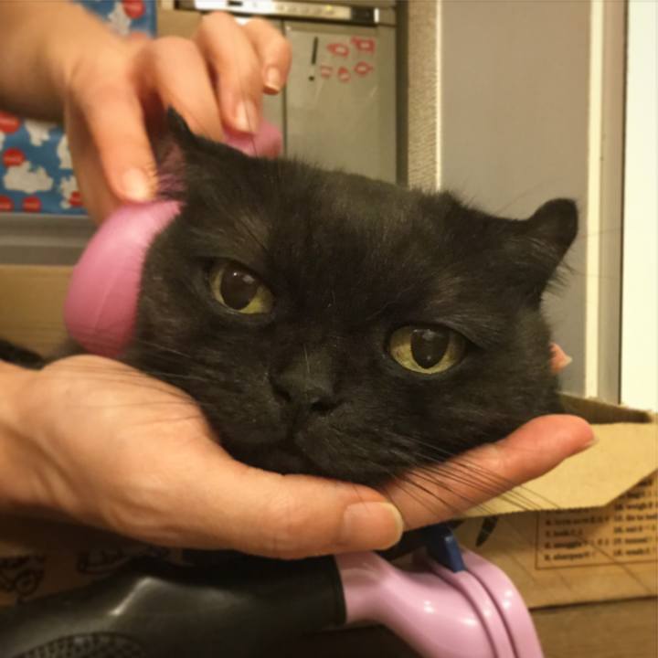 4c9e54dc 3f73 458a 8c8a 3d00a8ee445b