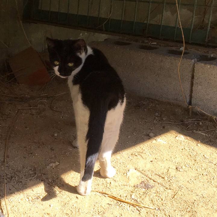 4c9f9db7 2652 4d69 bf6d f917fe115b89