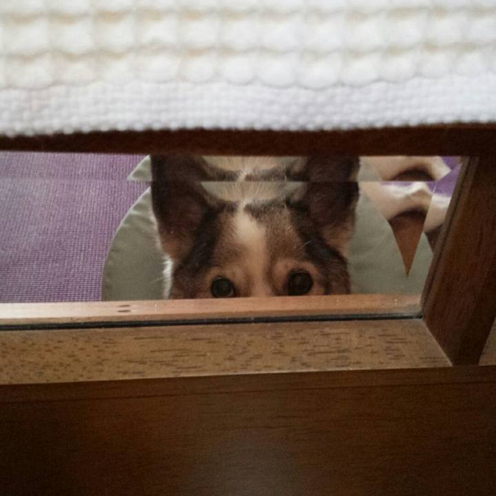 4ca04c33 6e79 4b3d 99a0 0d4e9c2c42bb