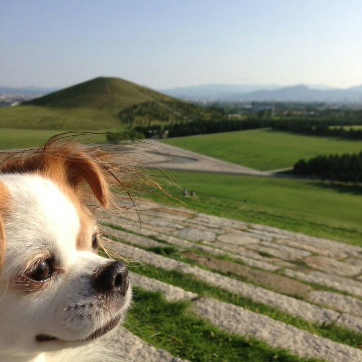 4ca13891 7e70 4174 9f09 1c1ed8b28318