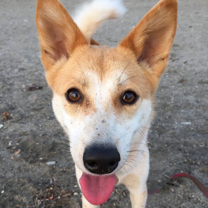 4ca1a402 35bb 4500 a72b b5db07753bbf