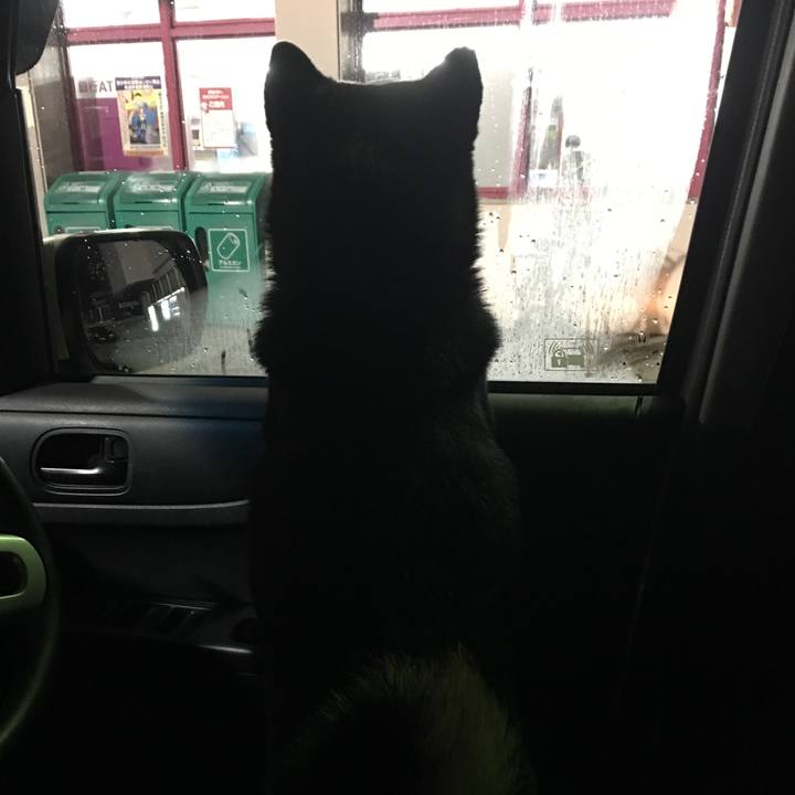 4ca21d06 c413 4e46 b497 f9c22b1e51c6