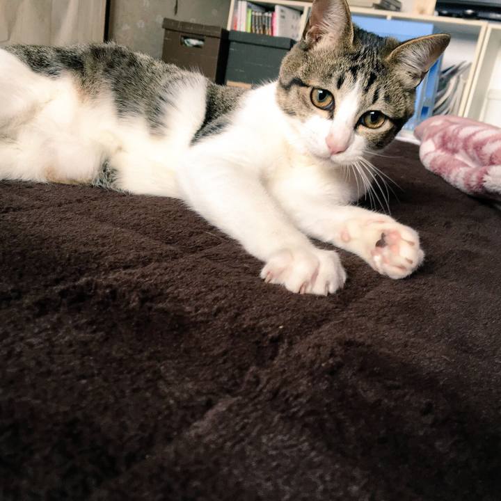 4ca292d2 cb20 4466 b242 6a514c074d1b