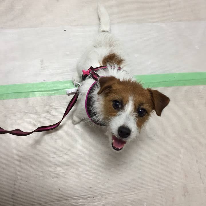 4ca3ceec 6b38 4e26 8ef6 b1dc32e92c88