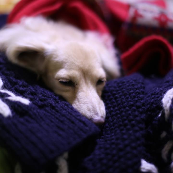 4ca453ee 6e08 4c8c 957b d9d7b35fbc87