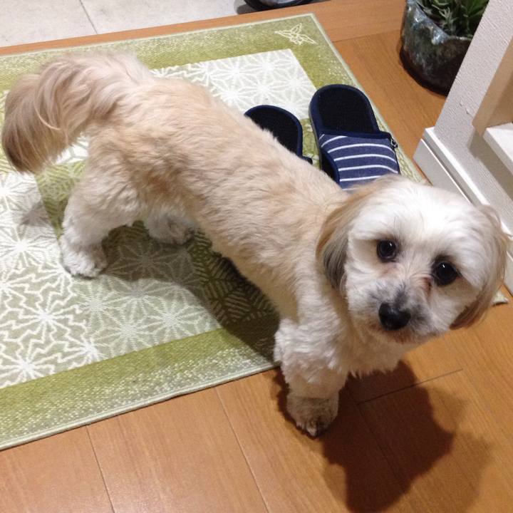 4ca50a52 5dd7 450e b9f2 69703618f530