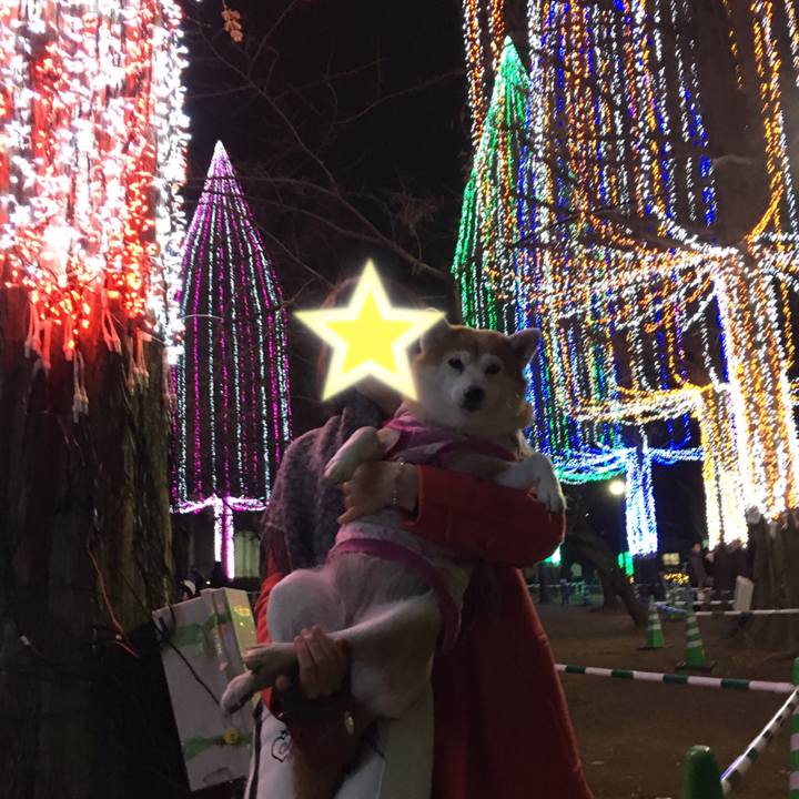 4ca618ac 32ba 4de6 83b1 f33c6a0b3f3f