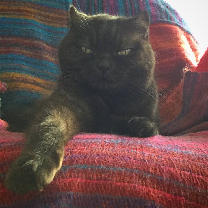 4ca7083a aefc 4700 bcea db67f4926334