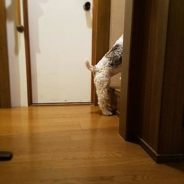 4ca7a560 87ce 4347 8edb a75155440b10