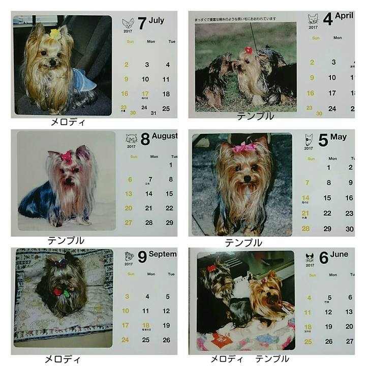 4ca7c4a2 7bb9 4d74 afe9 468e7a624584