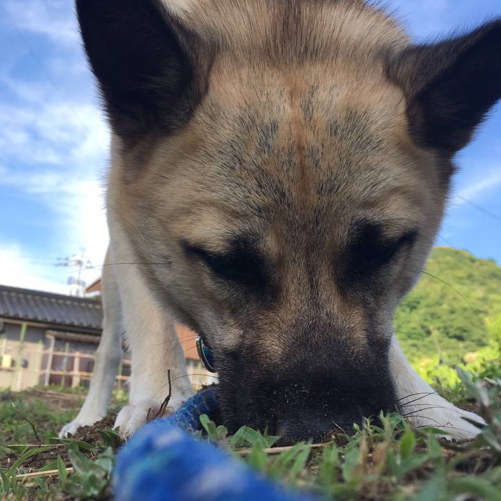 4ca85d42 2bbf 4703 b109 25dd1f8460ac