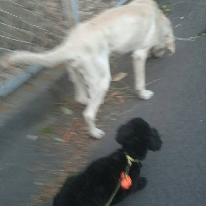 4ca86f69 c461 4ff3 8c7e 1f52e4f86bc9