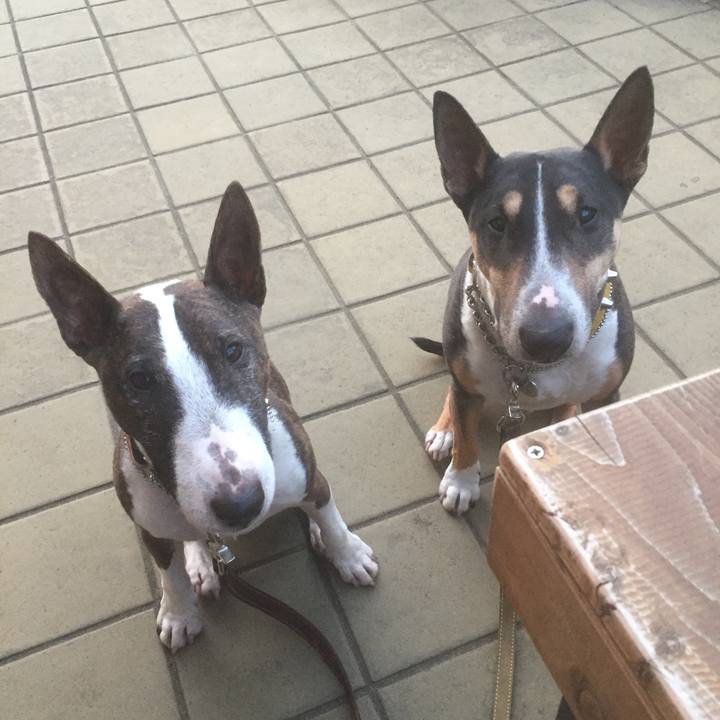 4ca870cd f96a 465f 82ab 69c30a43c5b5