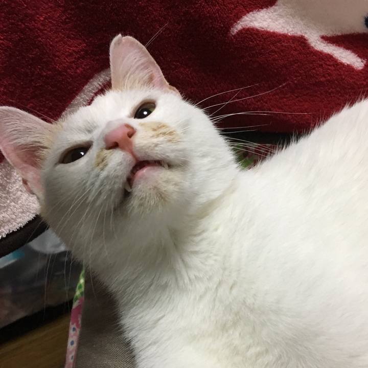 4ca92702 bb9a 4e46 b1cb 6242afffad7c