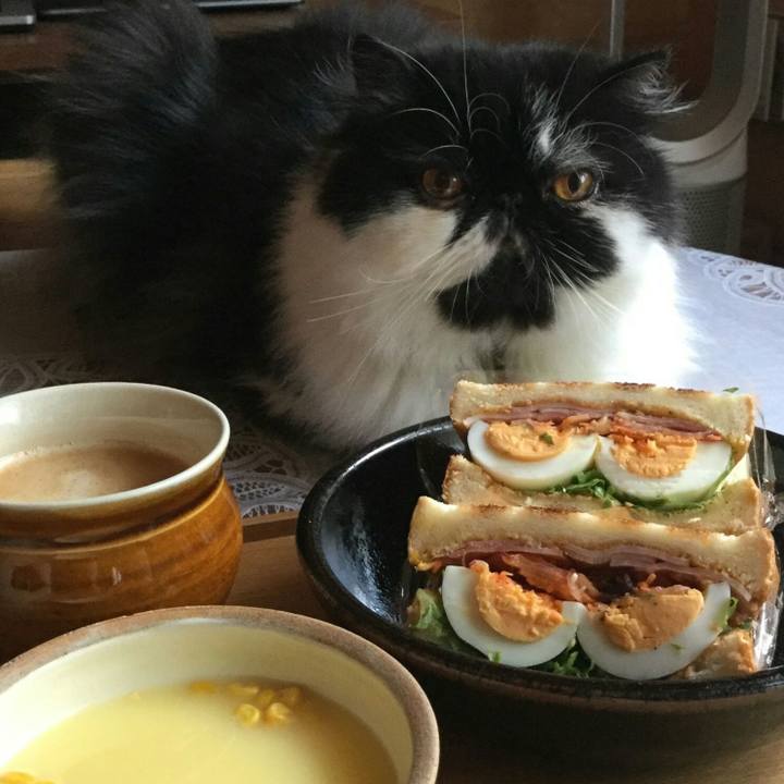 4ca9beab cf91 45c7 97fa 4b0abc283c5a