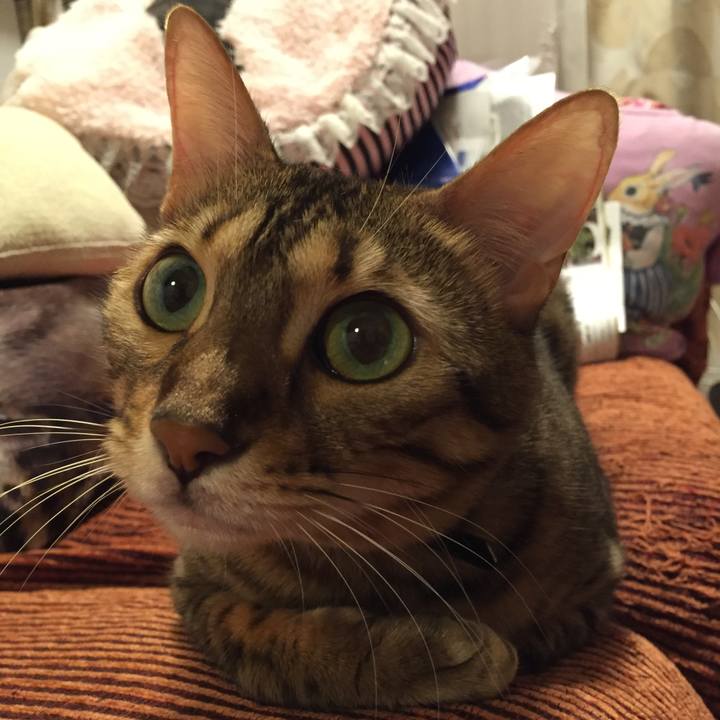 4ca9e493 73dc 4021 a058 3e7671d140a1