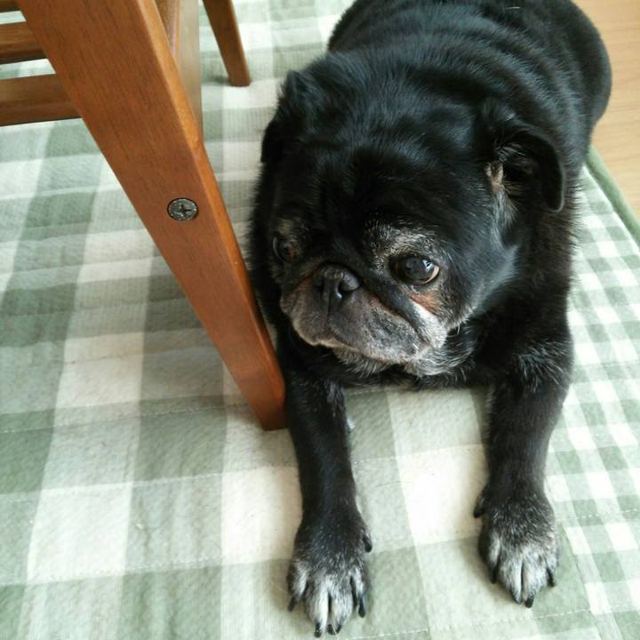 4caa420e 0f60 4152 9a4b 55ef5dac24b0