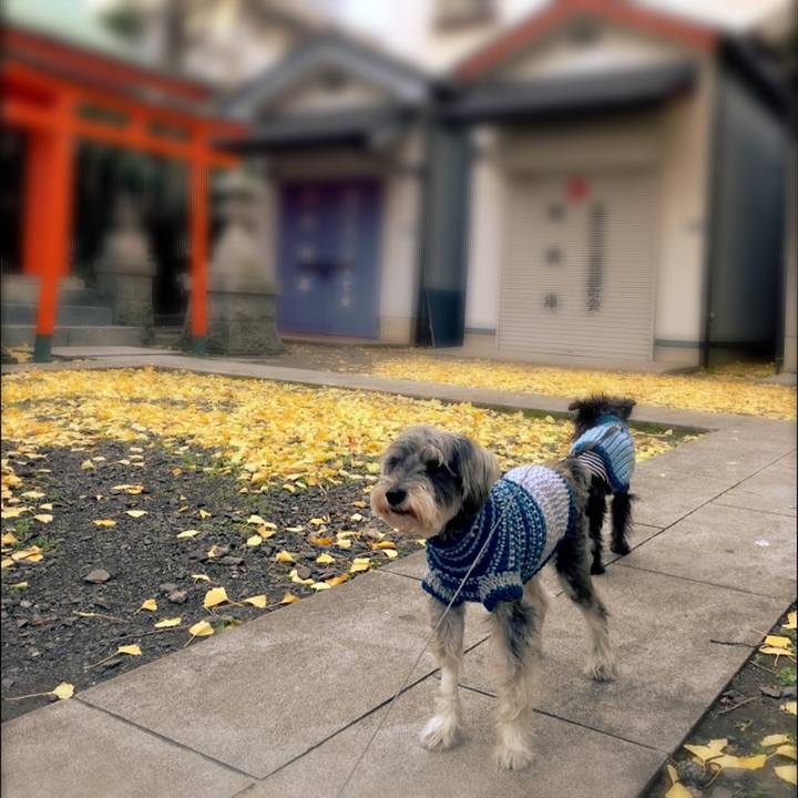 4caa804c 7dbf 4e65 aa72 d4ad31029190