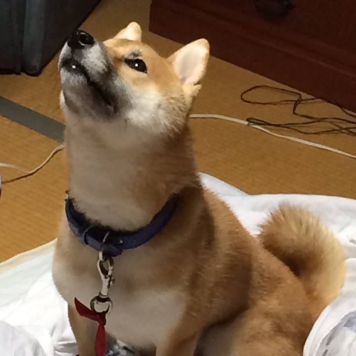 4caaaed6 acc2 4b93 8896 f896c883eef2