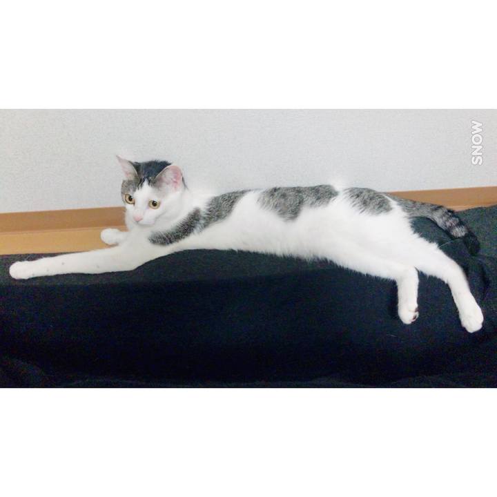 4caabc28 d724 4d98 b420 93225ab4a6cc