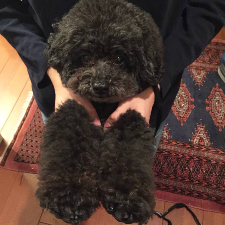 4cab1bf2 d884 4b1a 94d8 8918611b609d