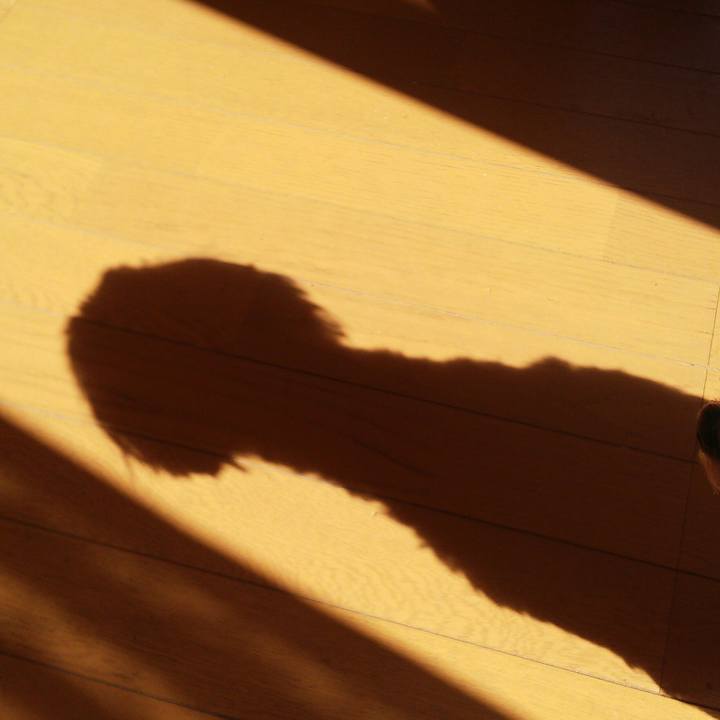 4cab210f 0fd1 4013 98c6 fbb34a197a1e