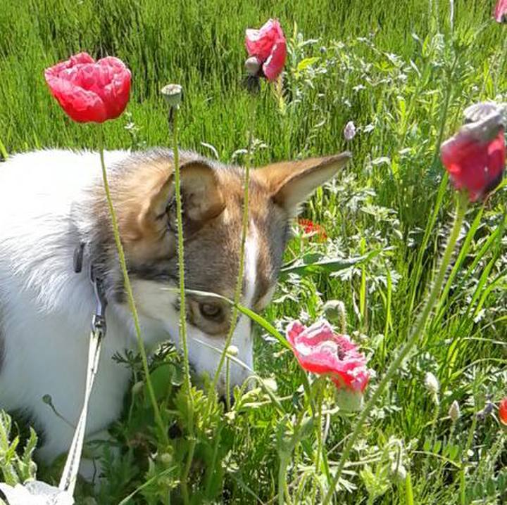 4cabc1ac 2c6a 4952 94c0 80967cfe6929