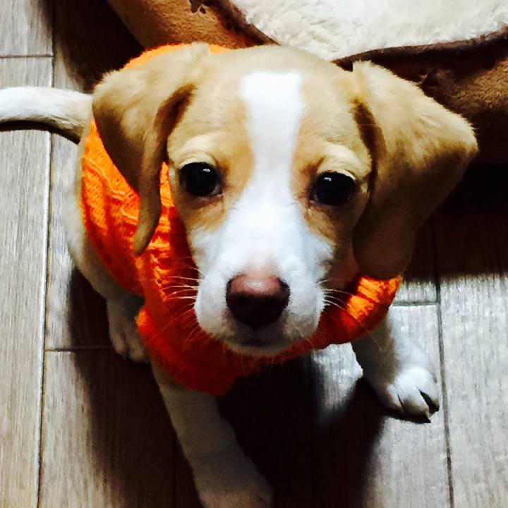 4cabffe3 ab6a 4c53 97f0 cf365729bd60