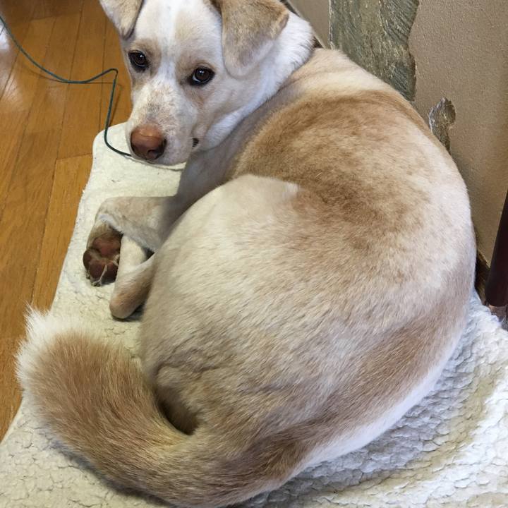 4cac33e8 169b 4bf4 b794 76705e44be8d