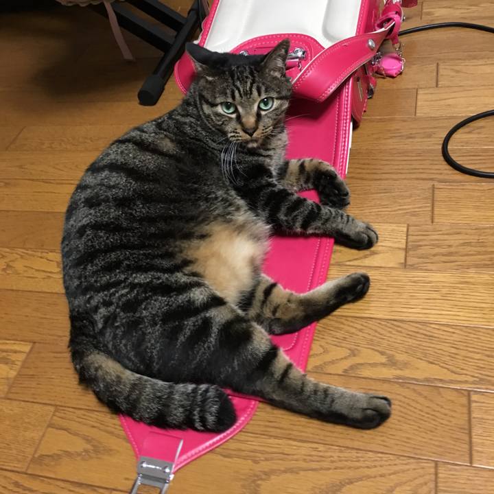 4cac3775 4638 4e4c 91d8 74d8b1e14c85