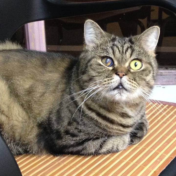 4cac4f3e 8181 4b91 bcf7 e44c4b83ab35