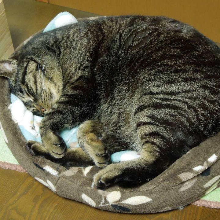 4cac7d8a 7c45 4979 bbec cf51886d31c0