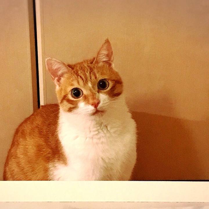 4cacbb0e 6296 4482 8181 ea09405b9701