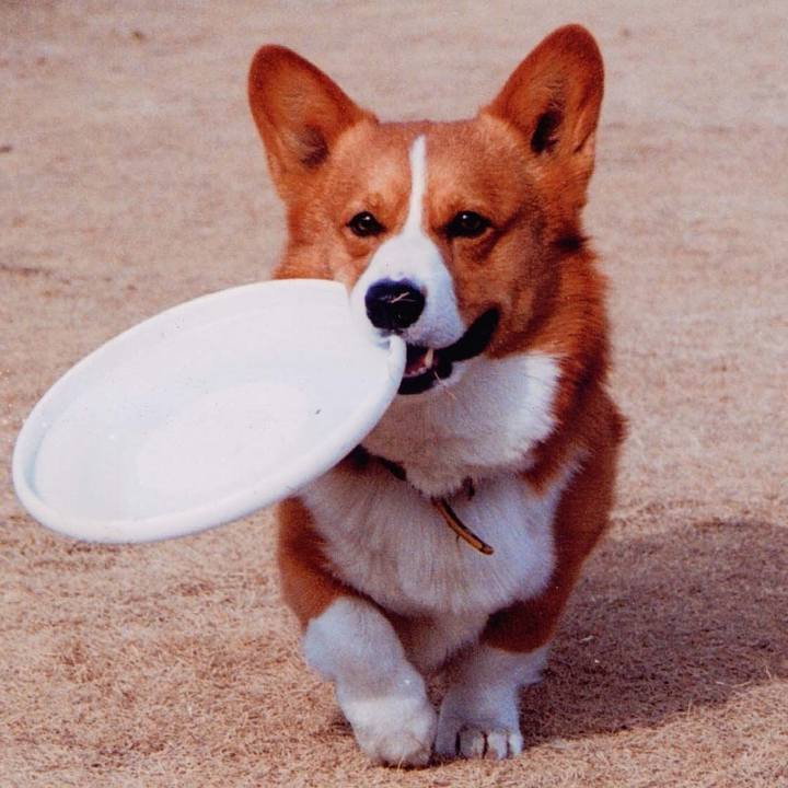 4cacebe3 6131 44dd 9872 dce05713420b