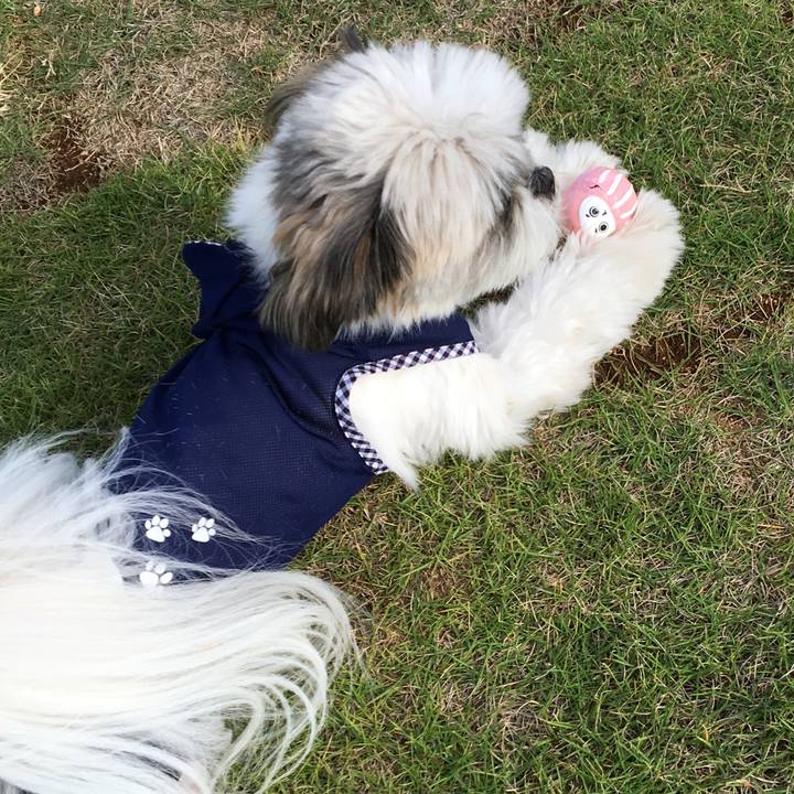 4cad91af 75c5 4077 9c50 2a07bad9d1b8